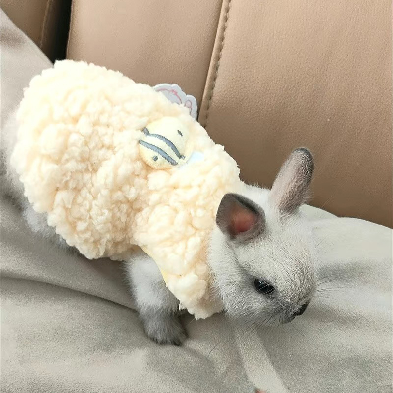 Winter Clothing Newborn - Winter Warm Bunny Rabbit Sweater for