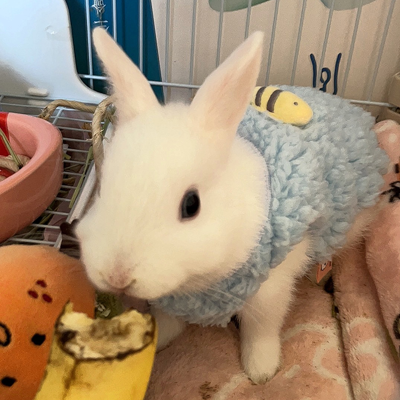 Winter Warm Bunny Rabbit Sweat - Winter Clothing Newborn recension och pris