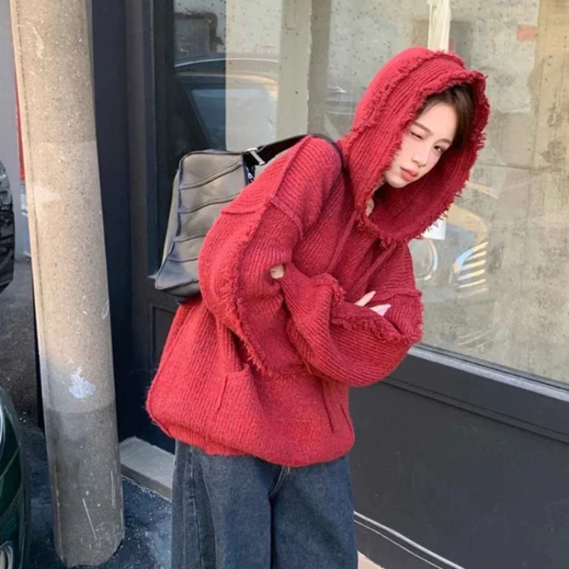 Autumn and Winter Thick Hoodie - Winter Clothing Essential recension och pris